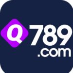 Q789 Game
